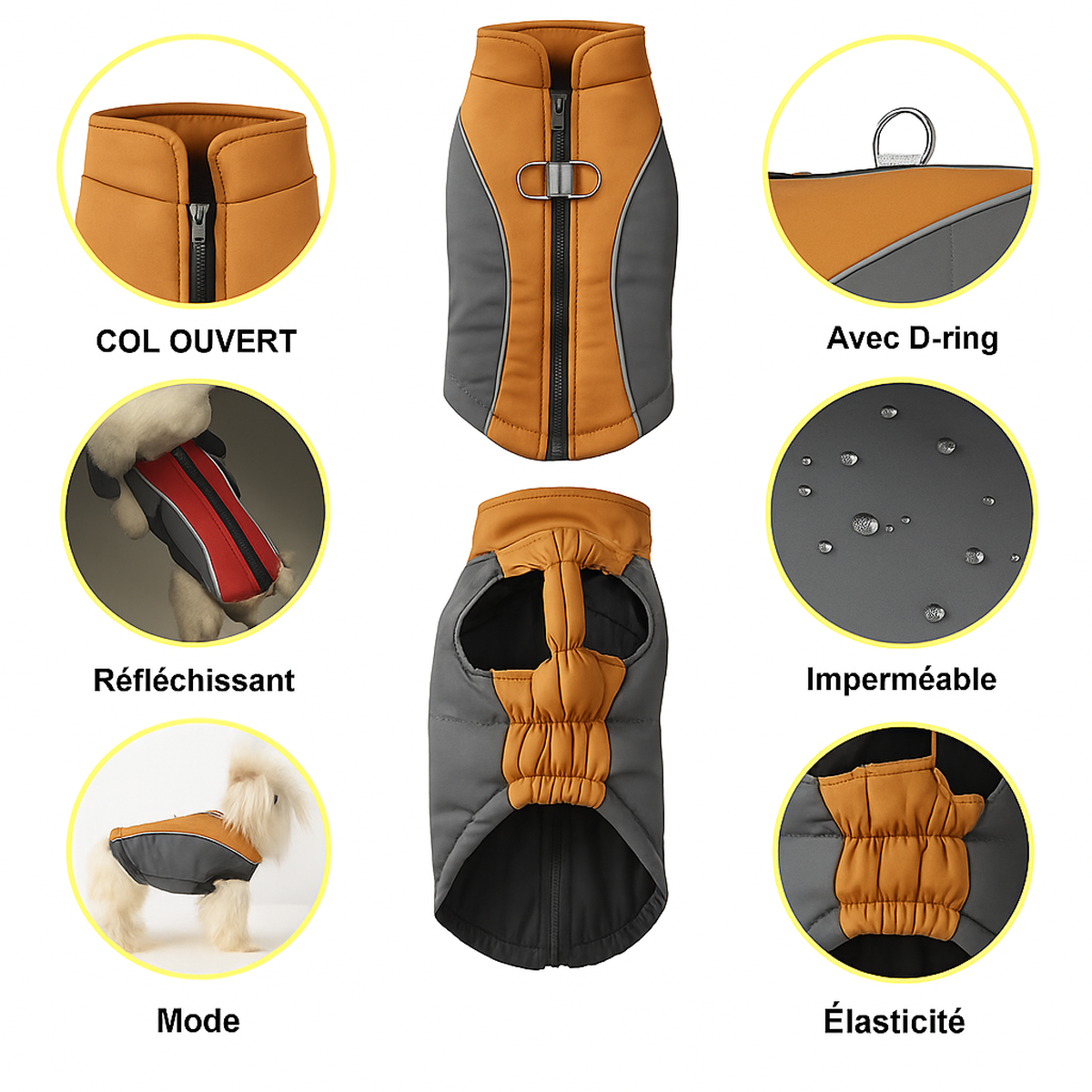 Manteau PawDuvet — Mon Toutou